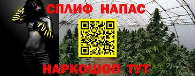 шишки Малоярославец