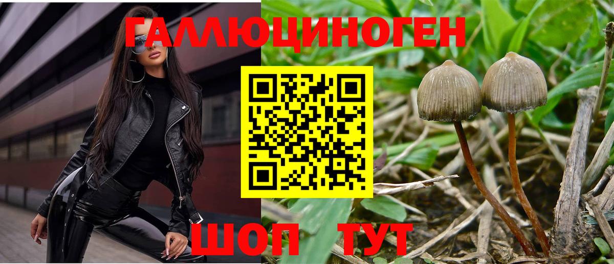 Урус-Мартан  Псилоцибиновые грибы Psilocybe  Галлюциногенные грибы Psilocybine cubensis  Вход с VPN 