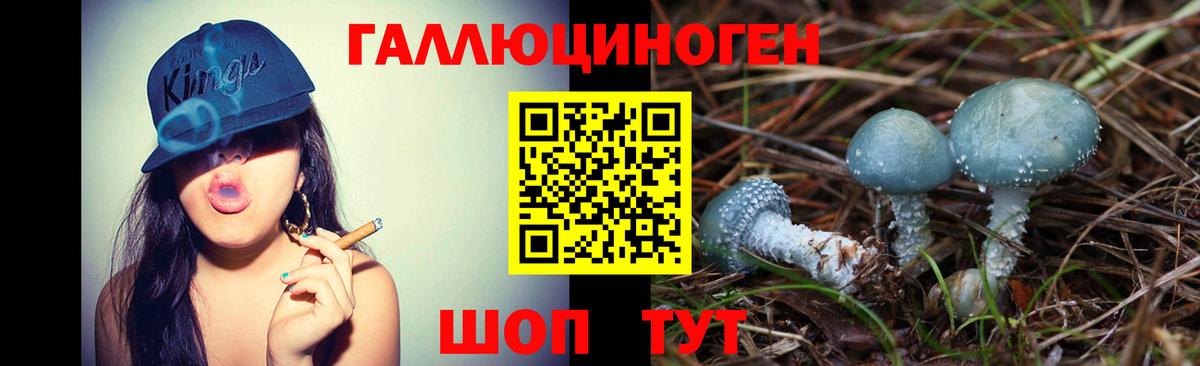 Галлюциногенные грибы Psilocybe Урус-Мартан