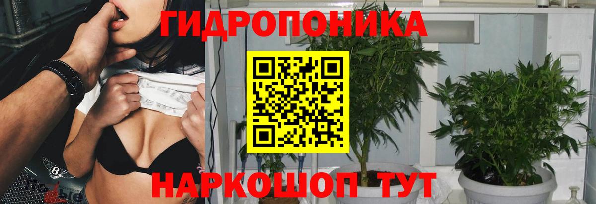 Марихуана LSD WEED  Бошки марихуана Amnesia  Вход с VPN  Каннабис THC 21%  Урус-Мартан 